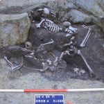 Arheoloski nalazi kostura